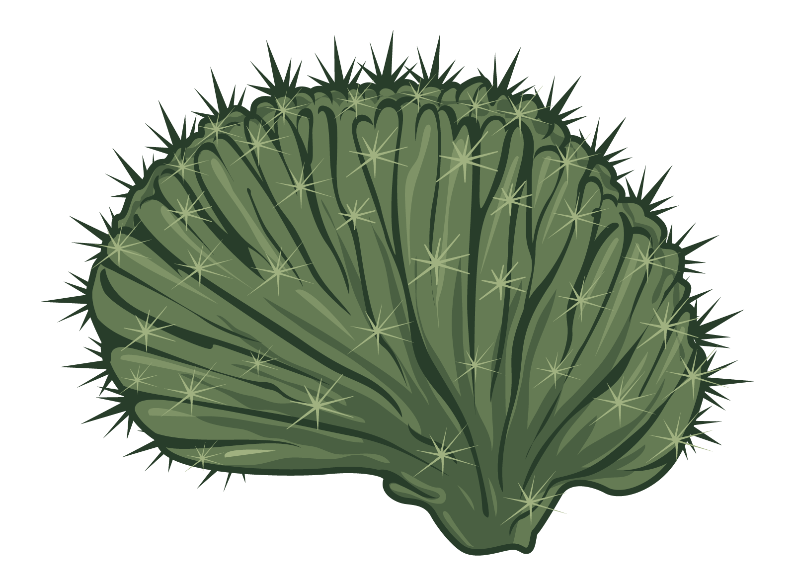 Cactus Brain Studios logo