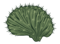 Cactus Brain Studios logo
